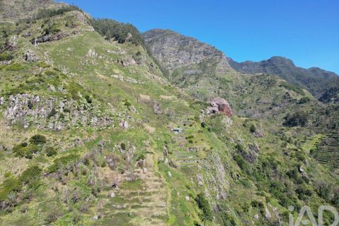 Terra a Ribeira Brava, Madeira, Ribeira Brava - € 30.000 | Ref: 115700 - foto 9