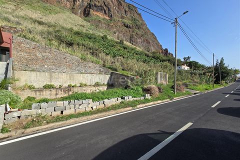 Helårsgrund i Calheta, Madeira, Calheta - € 1.200.000 | Ref: 081240401 - foto 3