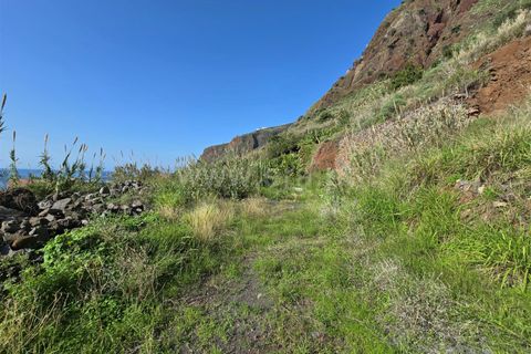Helårsgrund i Calheta, Madeira, Calheta - € 1.200.000 | Ref: 081240401 - foto 9