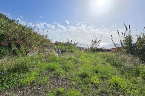 Helårsgrund i Calheta, Madeira, Calheta - € 1.200.000 | Ref: 081240401 - foto 10