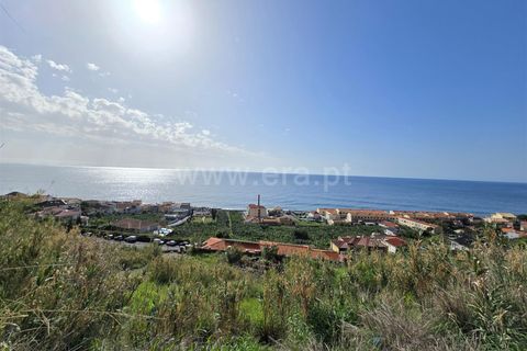 Helårsgrund i Calheta, Madeira, Calheta - € 1.200.000 | Ref: 081240401 - foto 15
