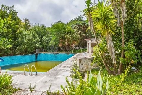 Villa i Belas, Lisbon, Belas - € 2.500.000 | Ref: VO-69541 - foto 34
