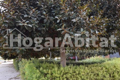 Terra a Silla, Valencia, Silla - € 600.000 | Ref: 017XSL-JRO600DUP.O-B/3716 - foto 8