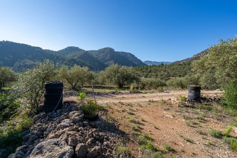 Finca i Xerta, Tarragona, Xerta - € 34.000 | Ref: 150 - foto 16