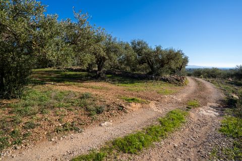 Finca i Xerta, Tarragona, Xerta - € 34.000 | Ref: 150 - foto 22