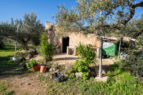 Finca i Xerta, Tarragona, Xerta - € 34.000 | Ref: 150 - foto 5