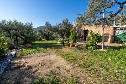 Finca i Xerta, Tarragona, Xerta - € 34.000 | Ref: 150 - foto 14