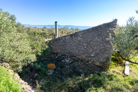 Finca i Xerta, Tarragona, Xerta - € 34.000 | Ref: 150 - foto 13
