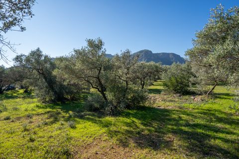 Finca i Xerta, Tarragona, Xerta - € 34.000 | Ref: 150 - foto 18