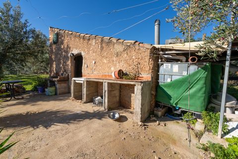 Finca i Xerta, Tarragona, Xerta - € 34.000 | Ref: 150 - foto 20