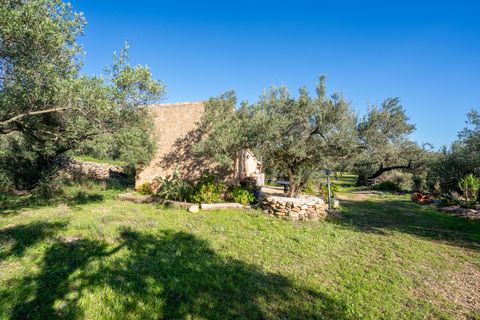 Finca i Xerta, Tarragona, Xerta - € 34.000 | Ref: 150 - foto 4