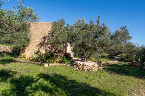 Finca i Xerta, Tarragona, Xerta - € 34.000 | Ref: 150 - foto 3