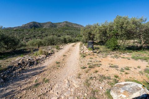 Finca i Xerta, Tarragona, Xerta - € 34.000 | Ref: 150 - foto 21