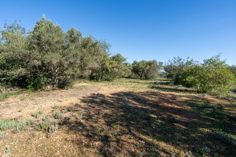 Finca i Xerta, Tarragona, Xerta - € 34.000 | Ref: 150 - foto 17