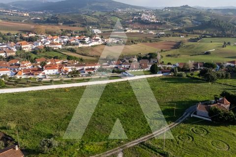 Helårsgrund i Torres Vedras, Lisbon, Torres Vedras - € 450.000 | Ref: 1141260/24 - foto 19