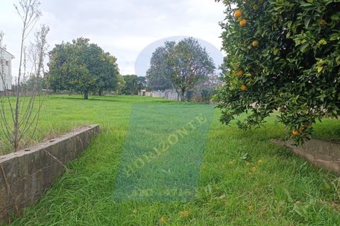 Helårsgrund i Anadia, Aveiro, Anadia - € 41.000 | Ref: TER_1114 - foto 1