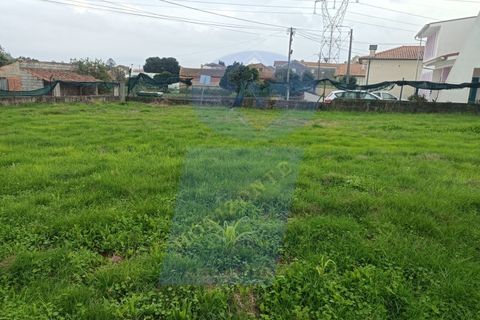 Helårsgrund i Anadia, Aveiro, Anadia - € 41.000 | Ref: TER_1114 - foto 2