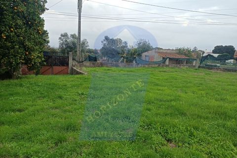 Helårsgrund i Anadia, Aveiro, Anadia - € 41.000 | Ref: TER_1114 - foto 3