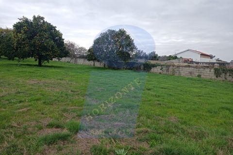 Helårsgrund i Anadia, Aveiro, Anadia - € 41.000 | Ref: TER_1114 - foto 4