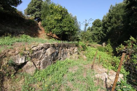 Helårsgrund i Ponte de Lima, Viana do Castelo, Ponte de Lima - € 78.500 | Ref: 1392 - foto 3