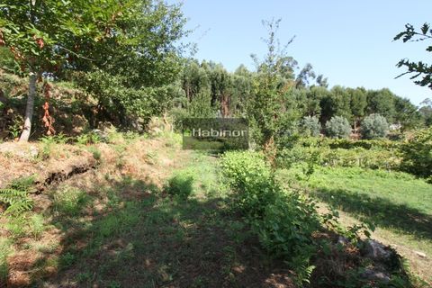 Helårsgrund i Ponte de Lima, Viana do Castelo, Ponte de Lima - € 78.500 | Ref: 1392 - foto 4