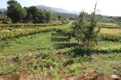 Helårsgrund i Ponte de Lima, Viana do Castelo, Ponte de Lima - € 78.500 | Ref: 1392 - foto 5
