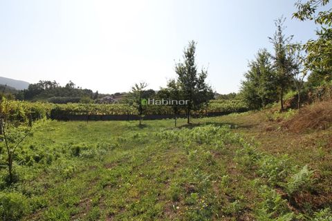Helårsgrund i Ponte de Lima, Viana do Castelo, Ponte de Lima - € 78.500 | Ref: 1392 - foto 6