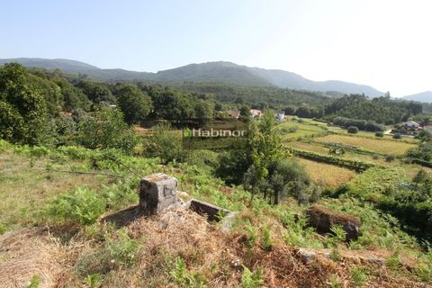 Helårsgrund i Ponte de Lima, Viana do Castelo, Ponte de Lima - € 78.500 | Ref: 1392 - foto 7
