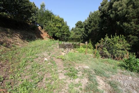 Helårsgrund i Ponte de Lima, Viana do Castelo, Ponte de Lima - € 78.500 | Ref: 1392 - foto 8