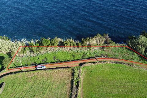 Helårsgrund i Sao Roque do Pico, Pico, Sao Roque do Pico - € 39.000 | Ref: 374240333 - foto 2