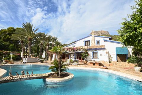 Villa in Calpe, Alicante - photo 4