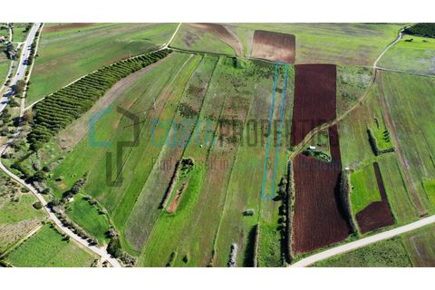 Helårsgrund i Sagres, Faro, Sagres - € 19.000 | Ref: CP-T2439 - foto 1