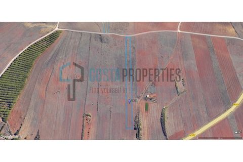 Helårsgrund i Sagres, Faro, Sagres - € 19.000 | Ref: CP-T2439 - foto 3
