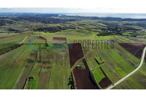 Helårsgrund i Sagres, Faro, Sagres - € 19.000 | Ref: CP-T2439 - foto 5