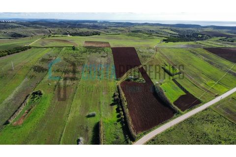 Helårsgrund i Sagres, Faro, Sagres - € 19.000 | Ref: CP-T2439 - foto 6