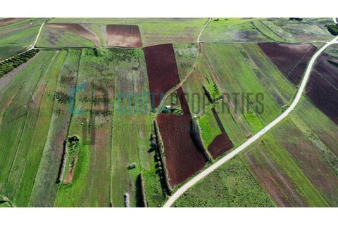 Helårsgrund i Sagres, Faro, Sagres - € 19.000 | Ref: CP-T2439 - foto 7