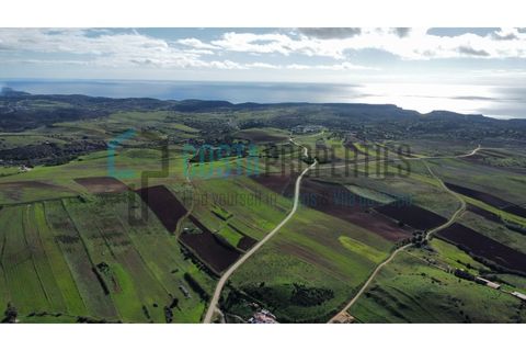 Helårsgrund i Sagres, Faro, Sagres - € 19.000 | Ref: CP-T2439 - foto 8