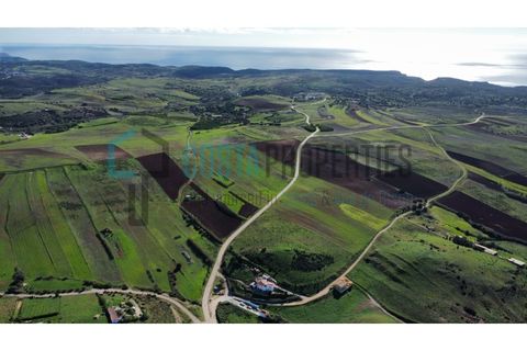Helårsgrund i Sagres, Faro, Sagres - € 19.000 | Ref: CP-T2439 - foto 10