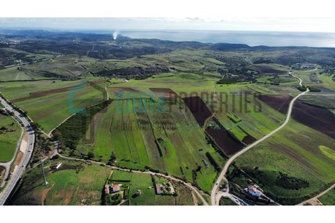 Helårsgrund i Sagres, Faro, Sagres - € 19.000 | Ref: CP-T2439 - foto 12