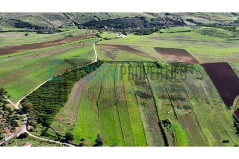 Helårsgrund i Sagres, Faro, Sagres - € 19.000 | Ref: CP-T2439 - foto 13