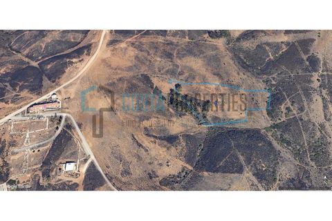 Helårsgrund i Sagres, Faro, Sagres - € 22.000 | Ref: CP-T2444 - foto 3