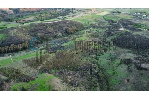 Helårsgrund i Sagres, Faro, Sagres - € 22.000 | Ref: CP-T2444 - foto 5