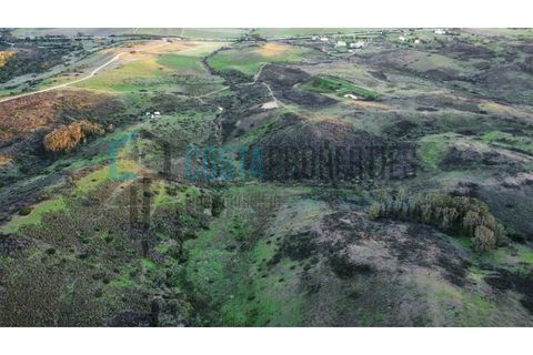 Helårsgrund i Sagres, Faro, Sagres - € 22.000 | Ref: CP-T2444 - foto 6