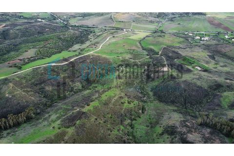 Helårsgrund i Sagres, Faro, Sagres - € 22.000 | Ref: CP-T2444 - foto 8