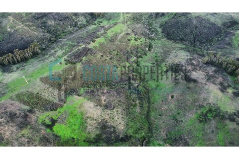 Helårsgrund i Sagres, Faro, Sagres - € 22.000 | Ref: CP-T2444 - foto 9