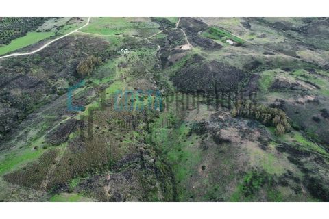 Helårsgrund i Sagres, Faro, Sagres - € 22.000 | Ref: CP-T2444 - foto 11