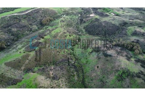 Helårsgrund i Sagres, Faro, Sagres - € 22.000 | Ref: CP-T2444 - foto 12