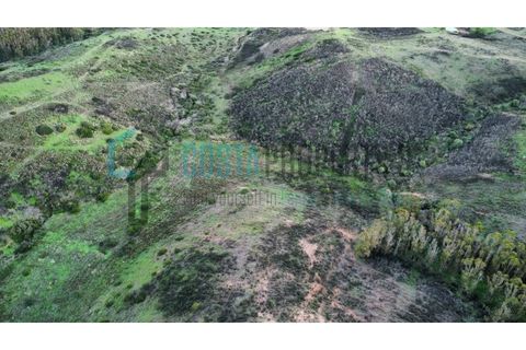 Helårsgrund i Sagres, Faro, Sagres - € 22.000 | Ref: CP-T2444 - foto 13