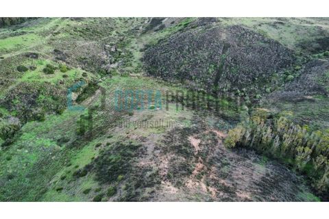Helårsgrund i Sagres, Faro, Sagres - € 22.000 | Ref: CP-T2444 - foto 14