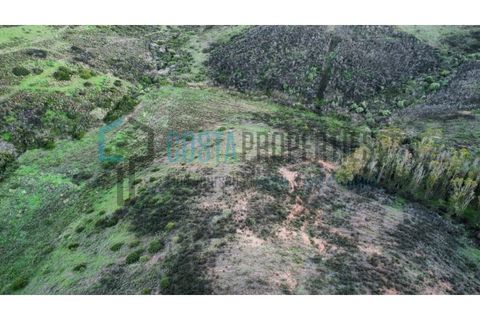 Helårsgrund i Sagres, Faro, Sagres - € 22.000 | Ref: CP-T2444 - foto 15